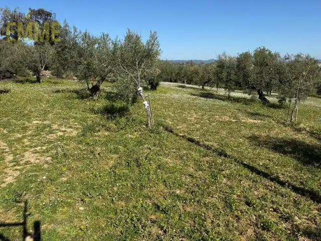 Grundstücke und Bauplätze zum Verkauf in San Rafael