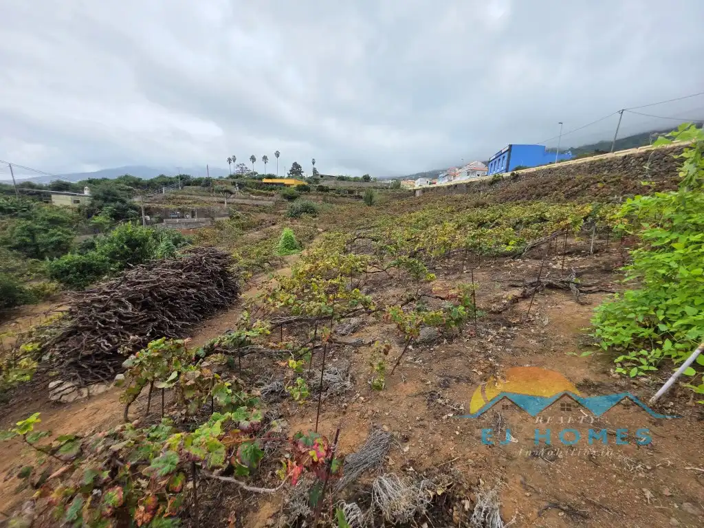 Houses for sale in La Orotava