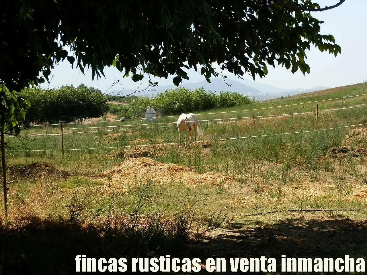 Terreni e lotti in vendita a Pizarra, imagen 22