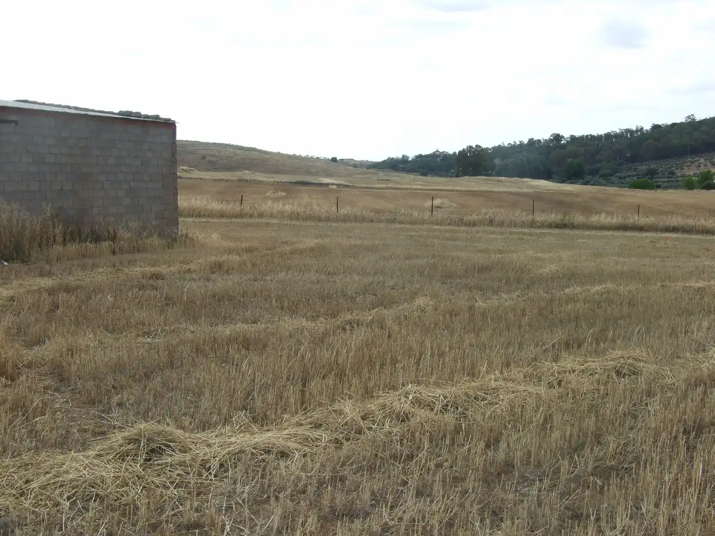 Terreni e lotti in vendita a Zafra, imagen 3