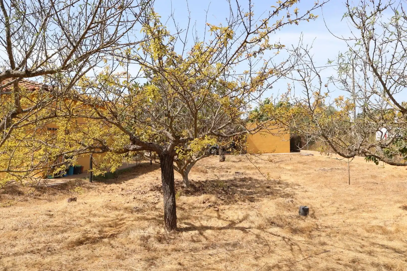 Casa rústica en venda a Vall d'Alba, imagen 46