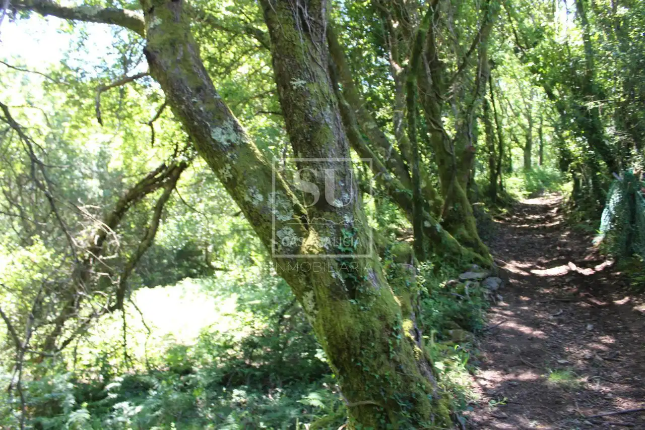 Xalet amb jardí en venda a Tomiño, imagen 2
