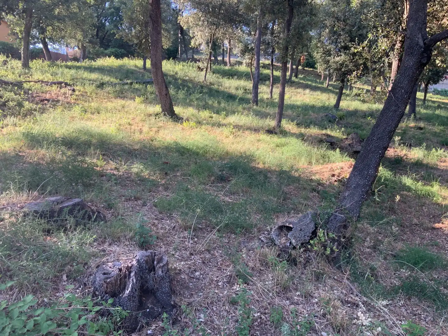 Residencial en venta en Santa Maria de Palautordera
