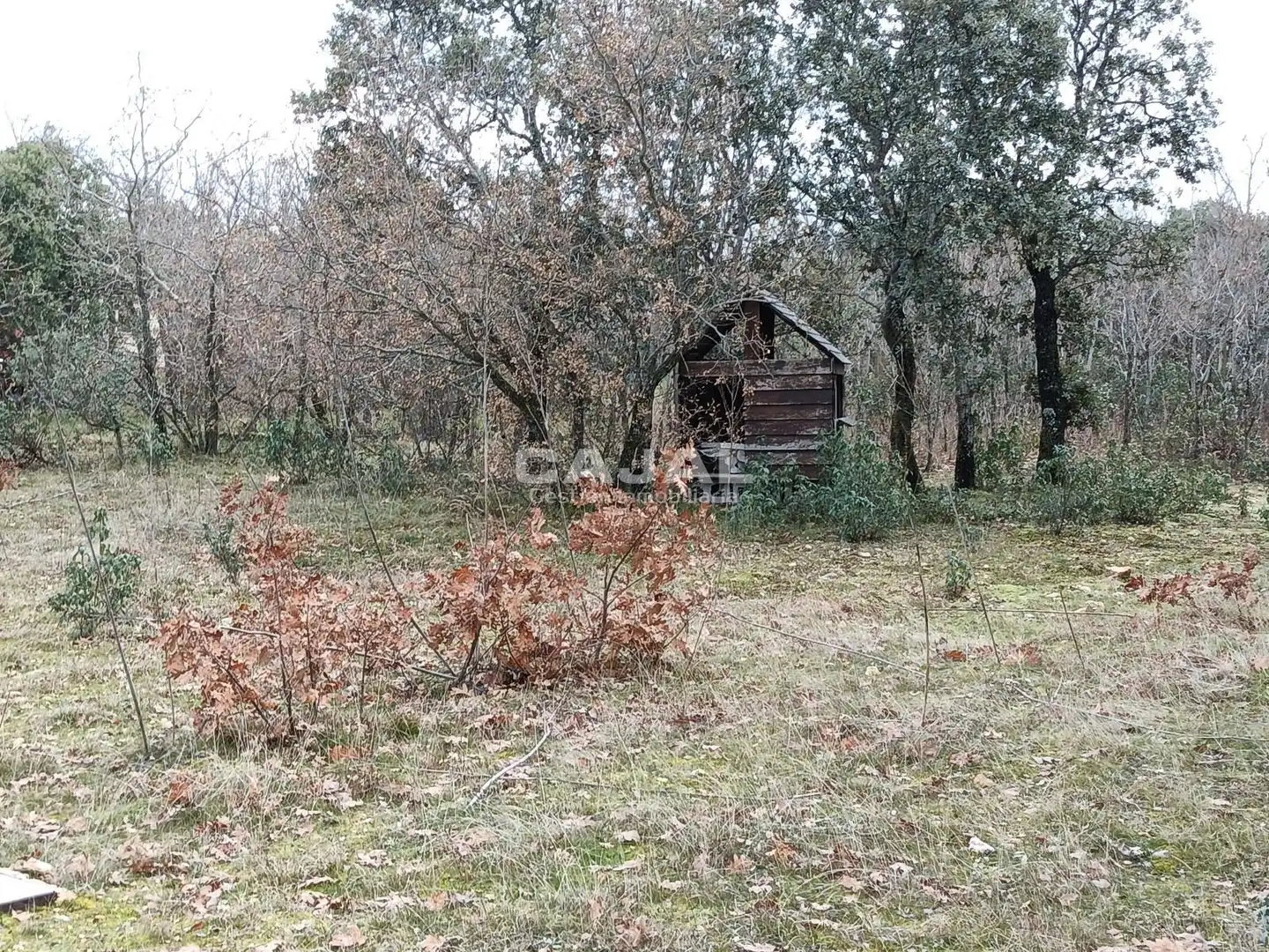 Casa o chalet en venta en Castillejo de Mesleón con Calefacción