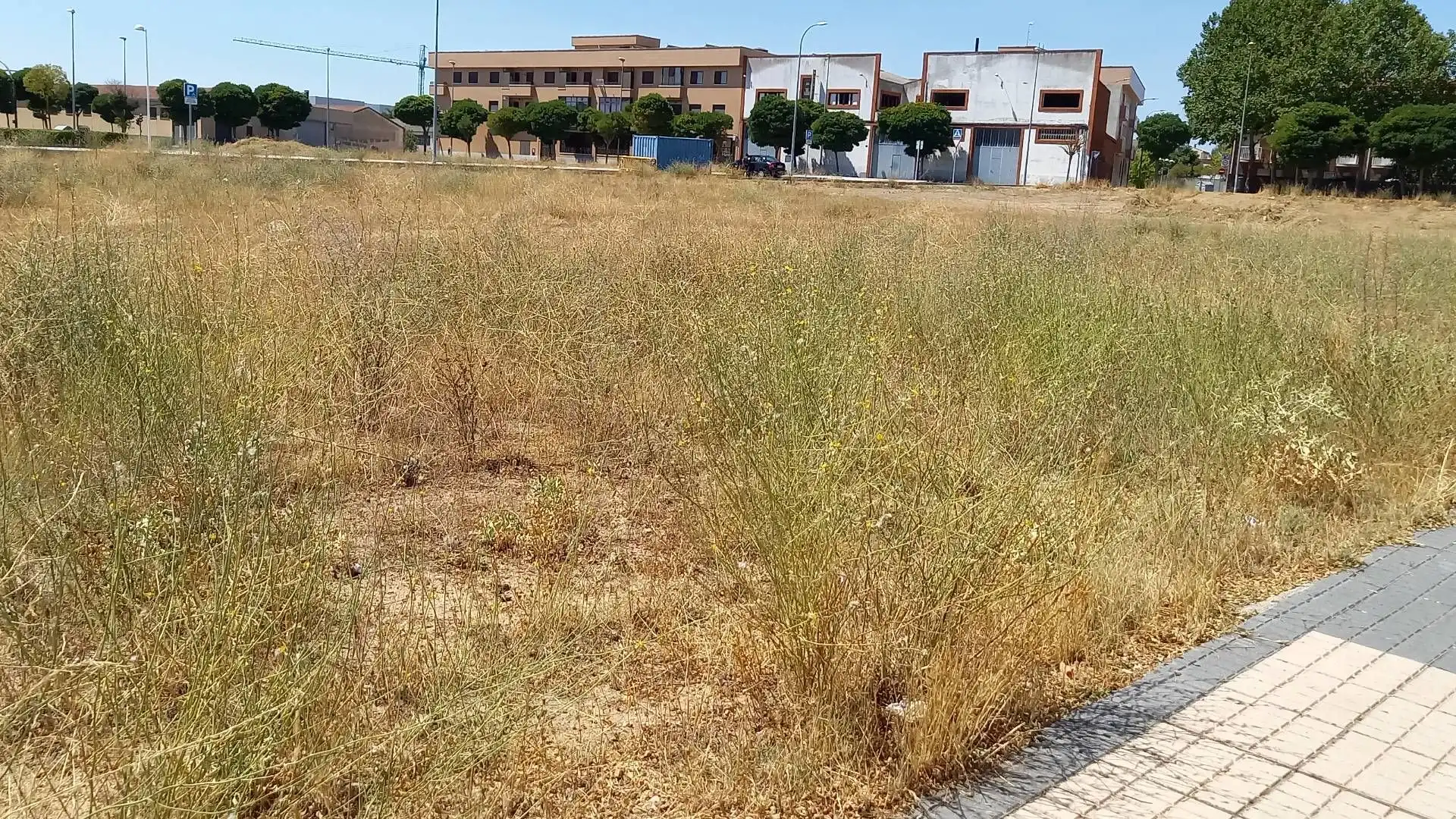Lands and plots for sale in Rollo - Puente Ladrillo
