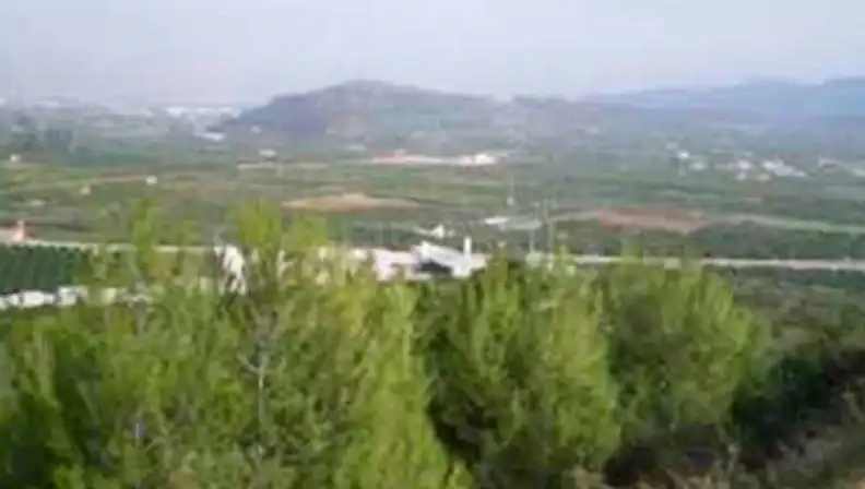 Terrenos y solares en venta en Ador, imagen 2