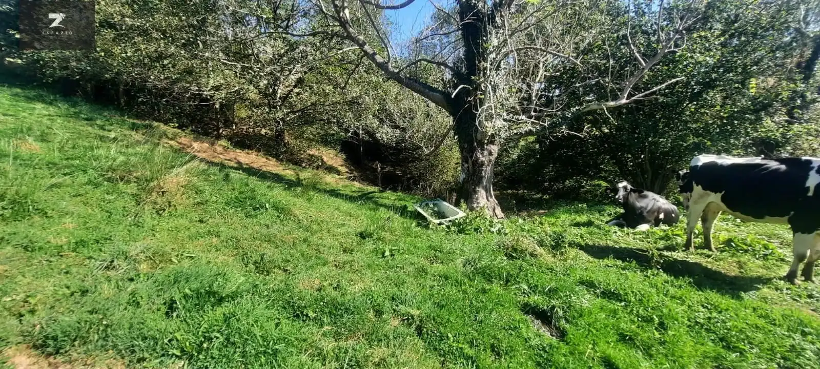 Houses for sale in San Roque de Riomiera