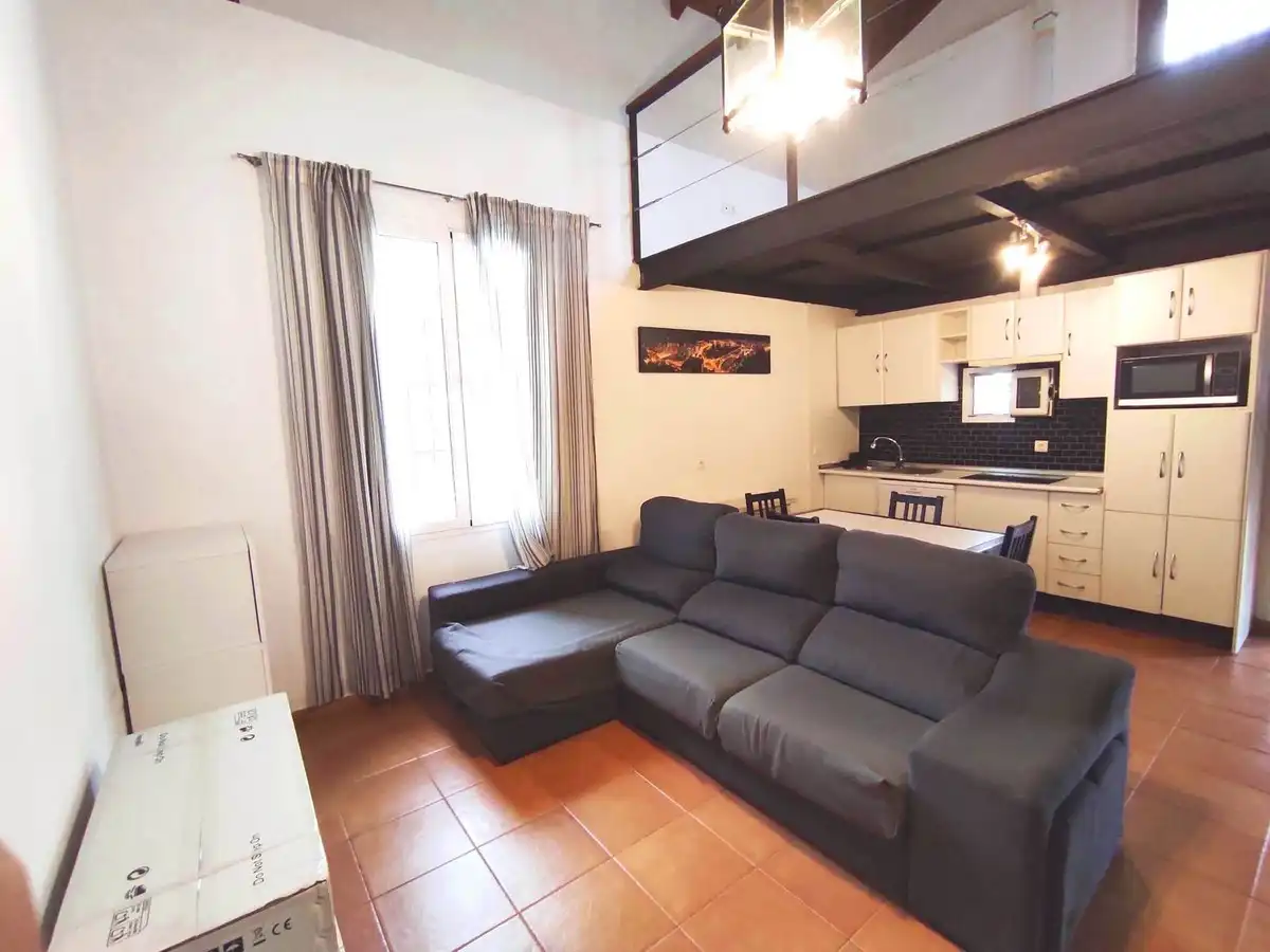 Sala d'estar de Finca rústica de lloguer en Málaga amb Aire condicionat, Jardí privat i Moblat