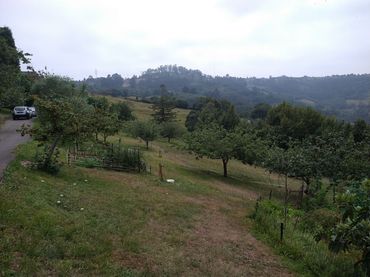 Terrenos y solares en venta en Rural