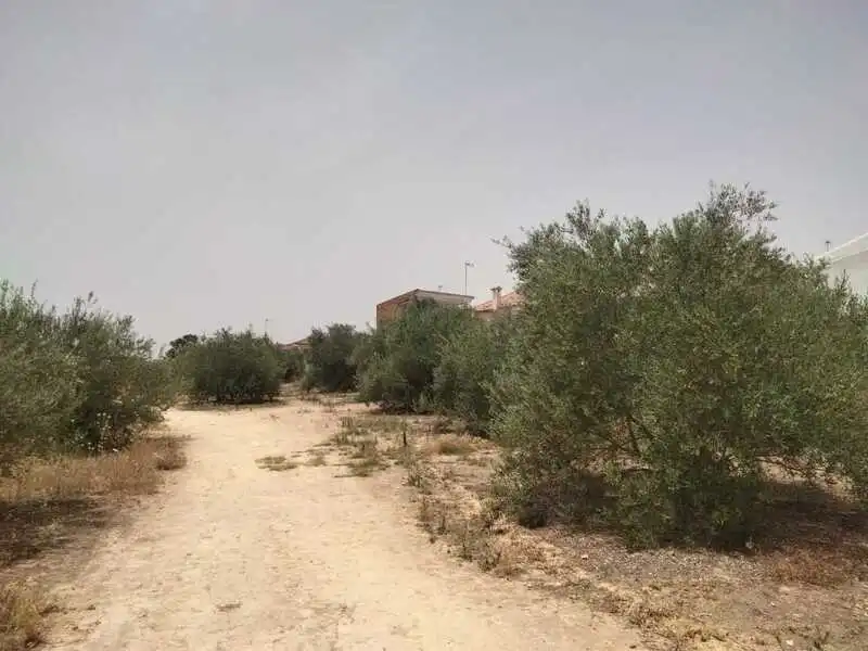 Terreni e lotti in vendita a Carretera de Palomares, imagen 37