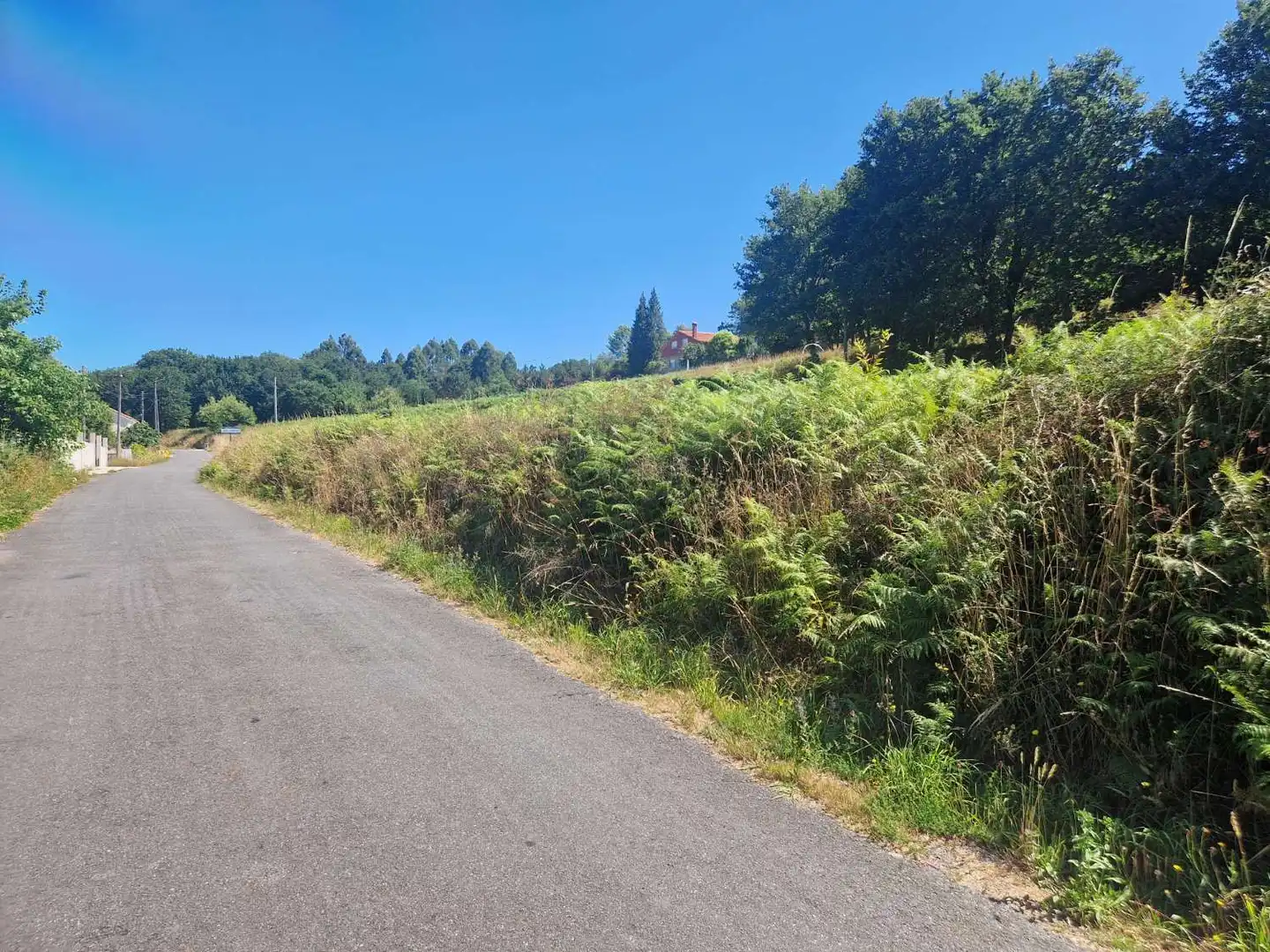 Terrenos y solares en venta en Negreira