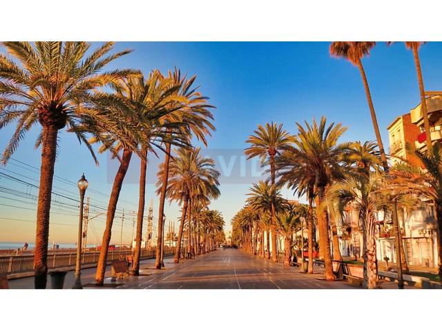 Local comercial en Alquiler en Calle General Moragues en La Salut