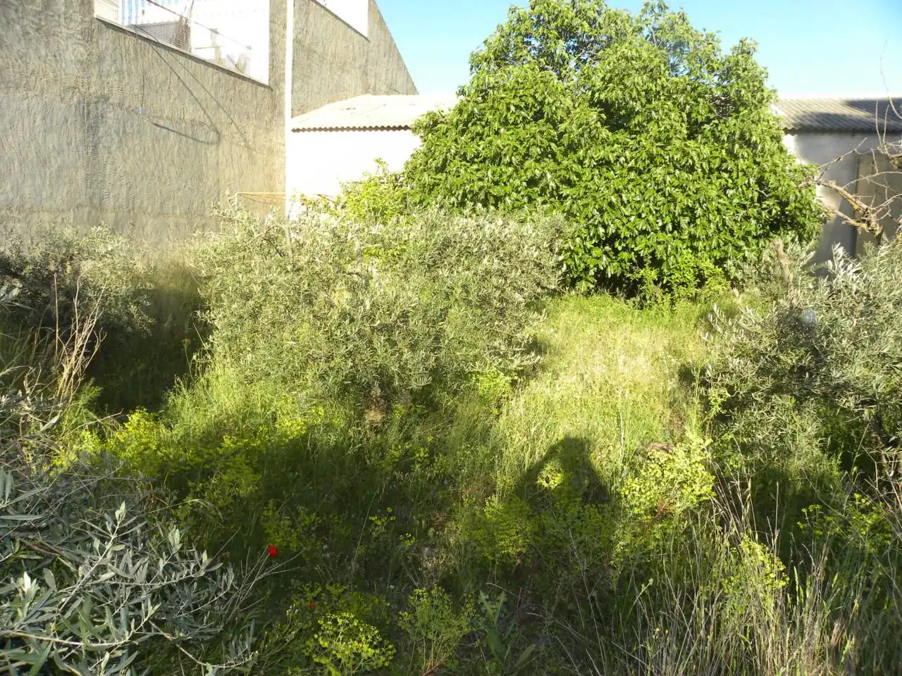 Industriegebäude zum Verkauf in Caravaca de la Cruz, imagen 16