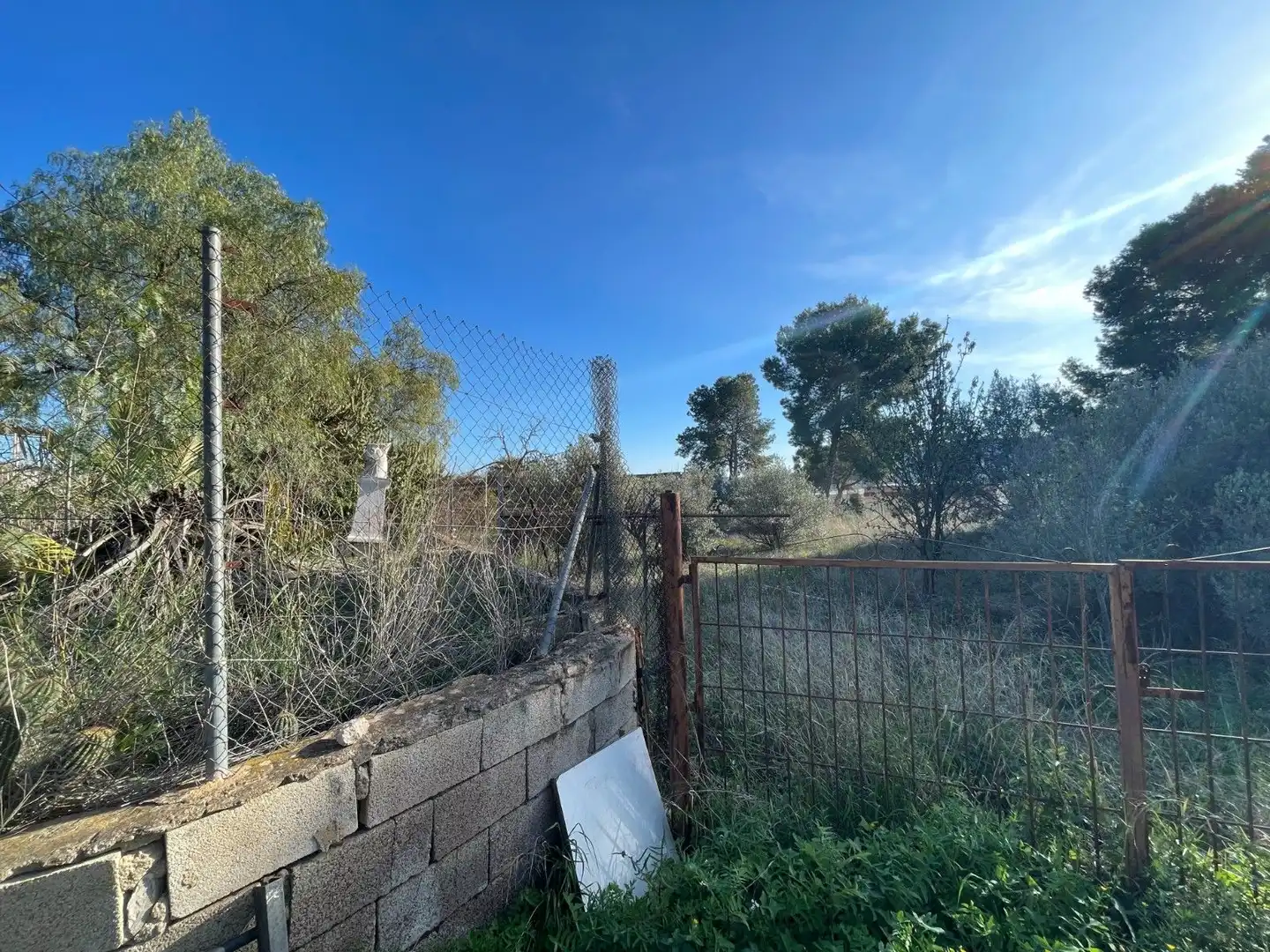 Land for sale in Aspe
