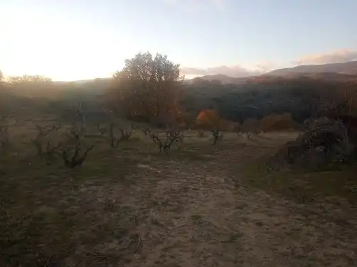 Terreni e lotti in vendita a Jarandilla de la Vera, imagen 16