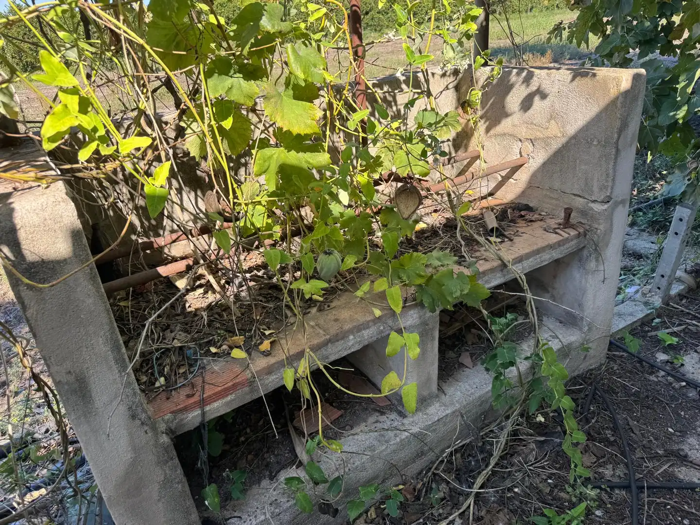 Casa rustica in vendita a CV-605, imagen 32
