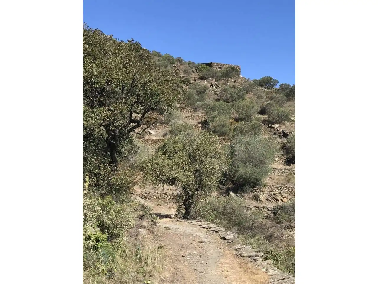 Rural land for sale in Mas de la Senyora, imagen 11