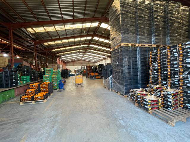 Nave industrial en Venta en Carrer d'Algímia d'Alfara, 2 en Na Rovella - Hermanos Maristas