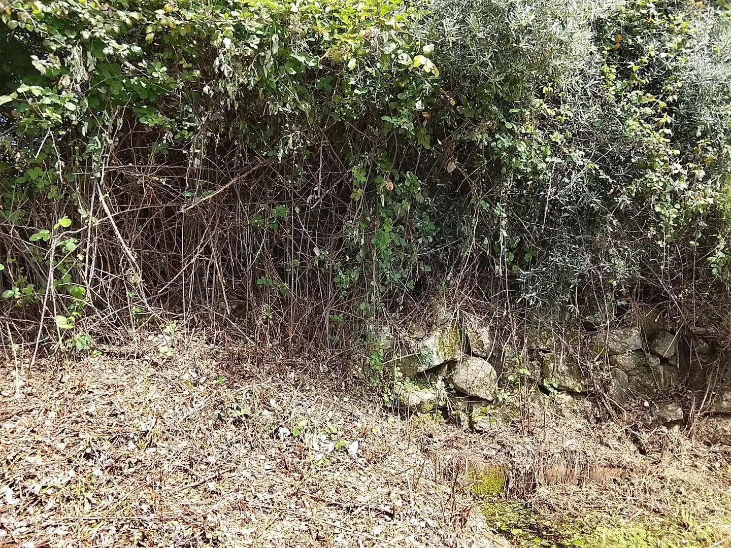 Terreni e lotti in vendita a Viandar de la Vera, imagen 16