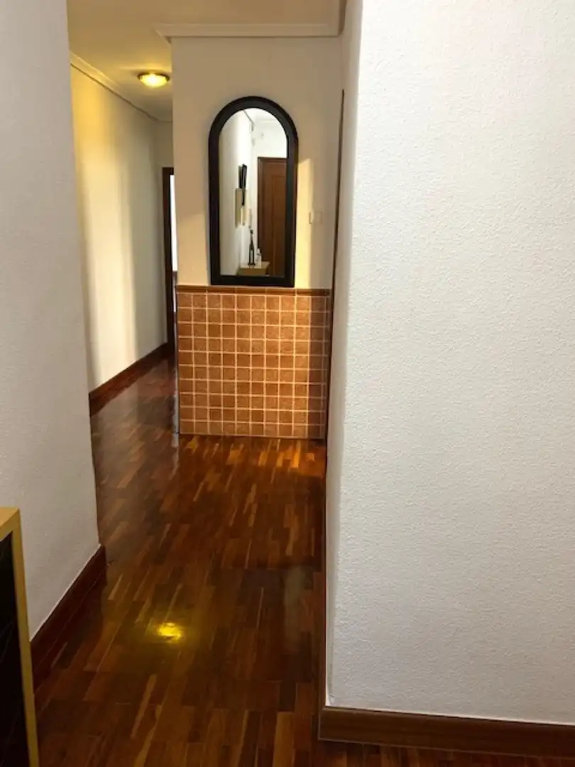 Wohnung zur Miete in Plaza Circular, Vistalegre