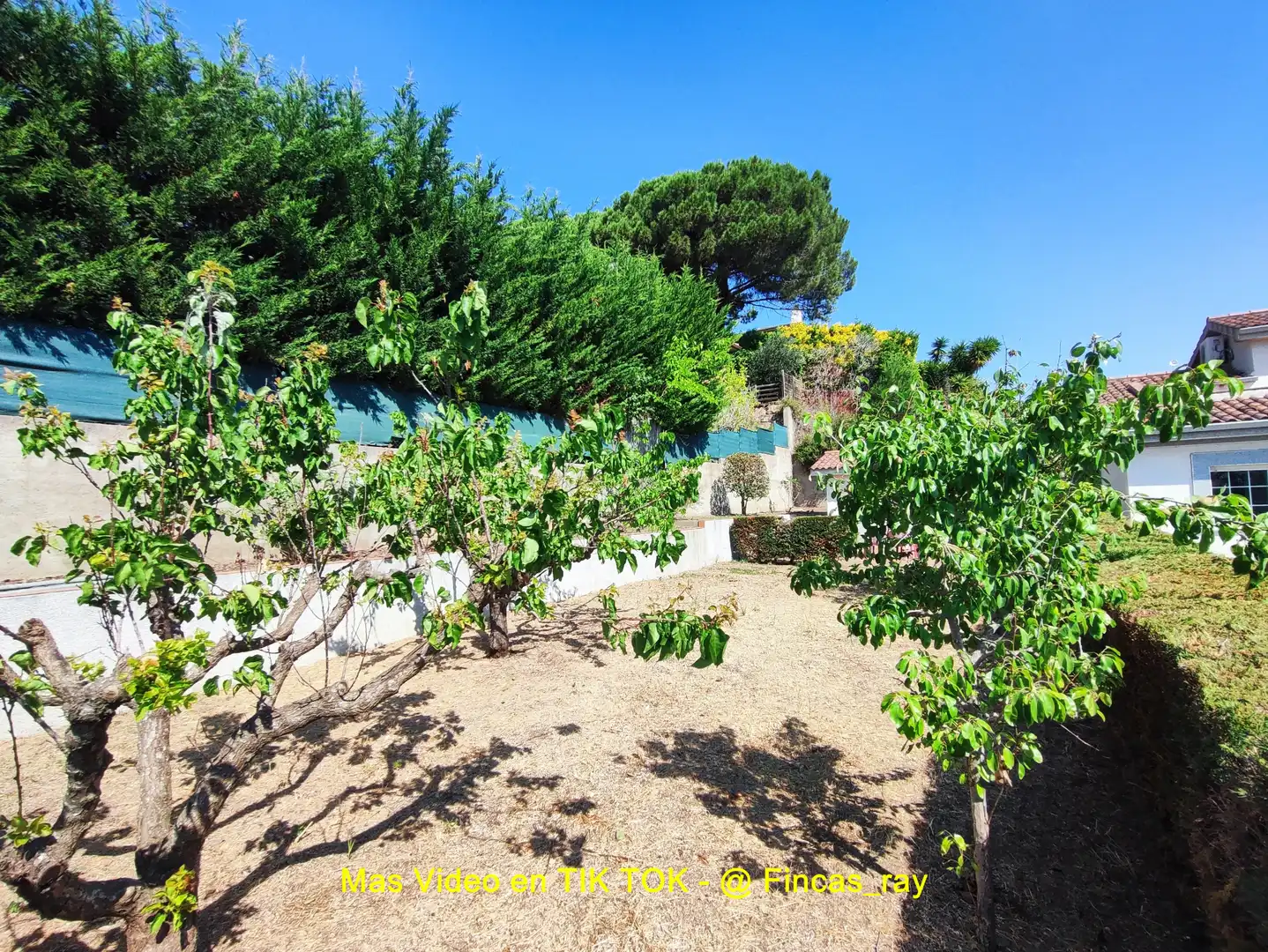 Jardín de Casa o chalet en venta en Bigues i Riells del Fai con Calefacción, Jardín privado y Terraza