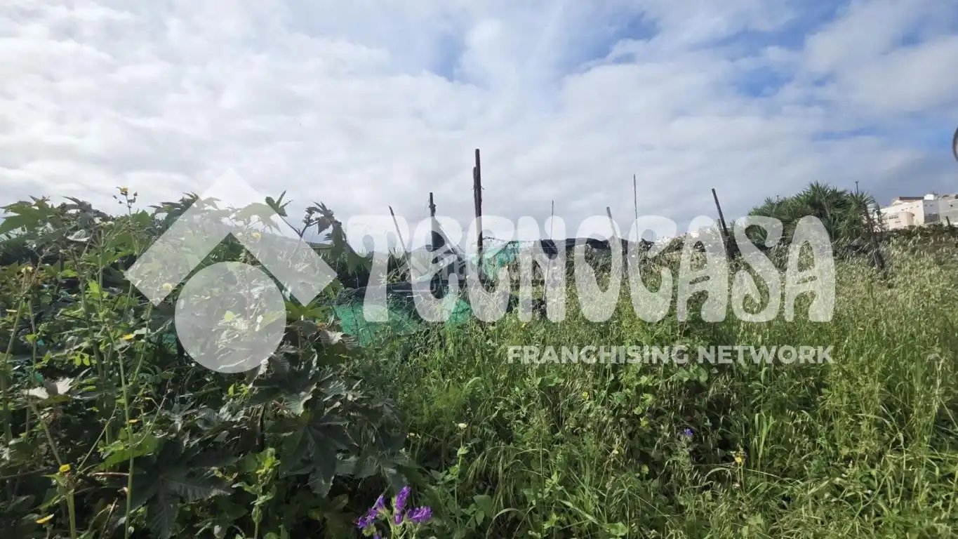 Finca rústica en venta en Arucas Casco