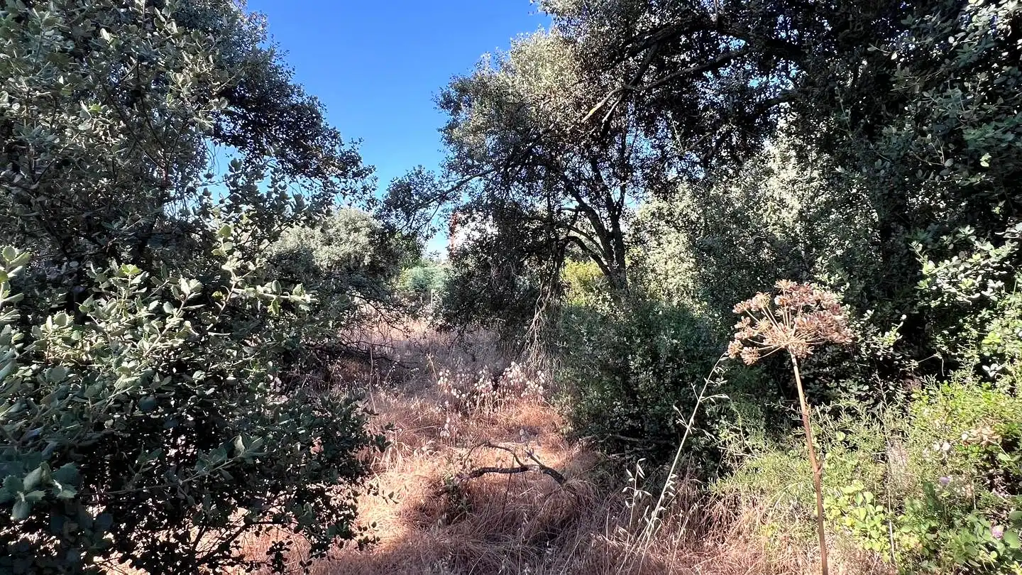 Terreni e lotti in vendita a Quintanar, imagen 15