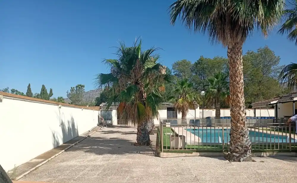 Swimming pool of Flat for sale in Crevillent