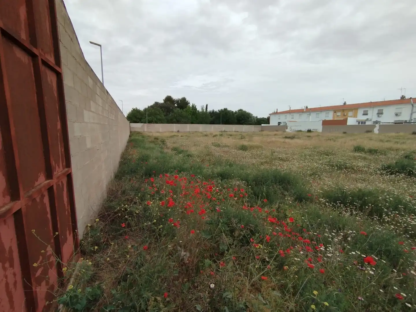 Terreny residencial en venda a Calle la Paz, imagen 14
