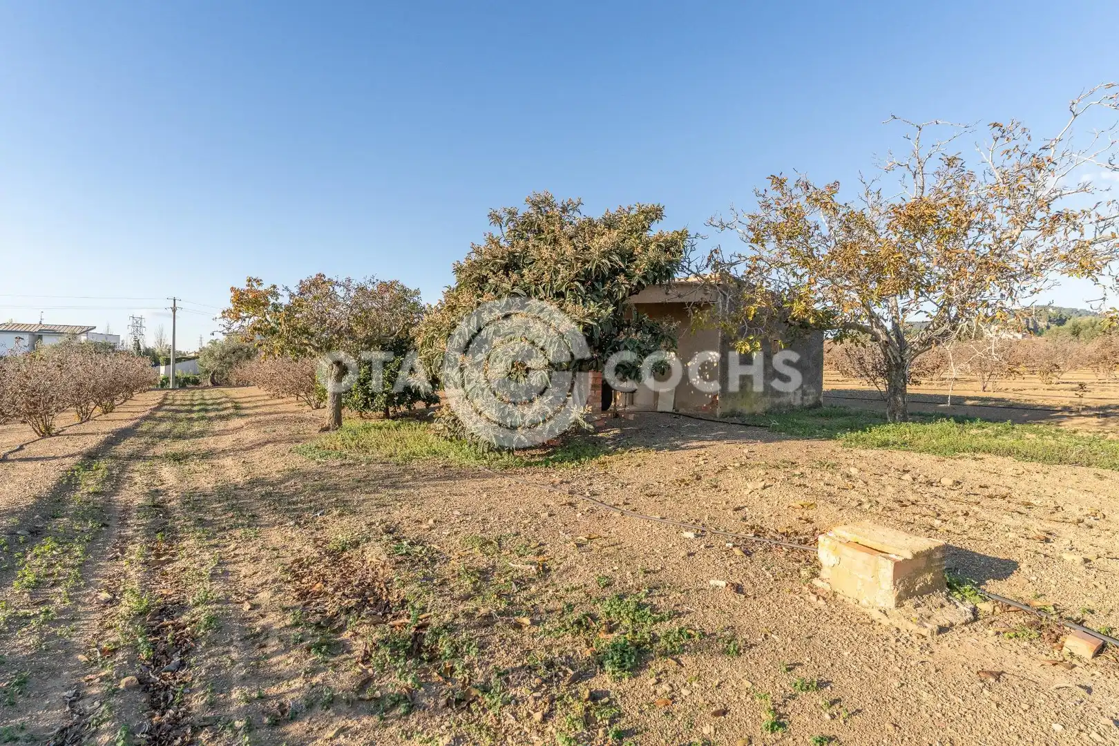 Finca rústica en venta en Castellvell del Camp