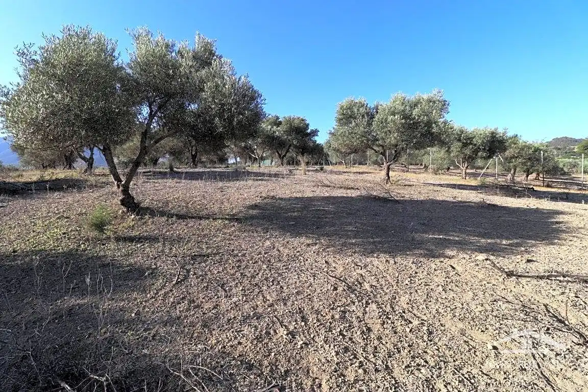 Terreni e lotti in vendita a Coín, imagen 11