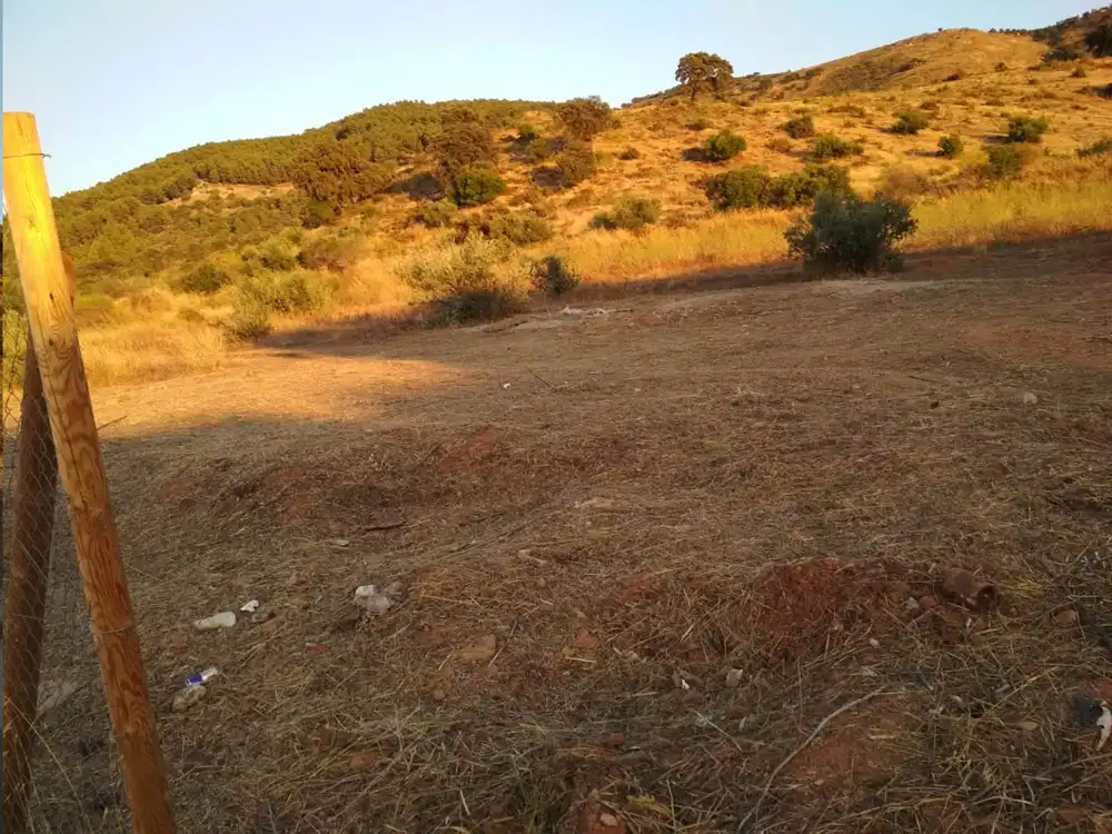 Terreni e lotti in vendita a Zona de la Vega