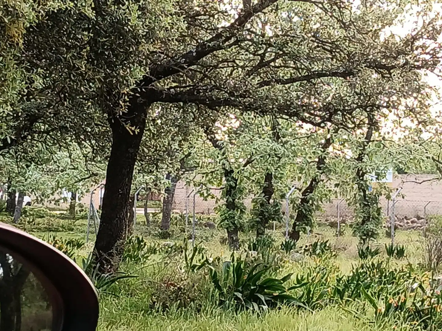 Terreni e lotti in vendita a subdelimitado III Poligono 17, imagen 4