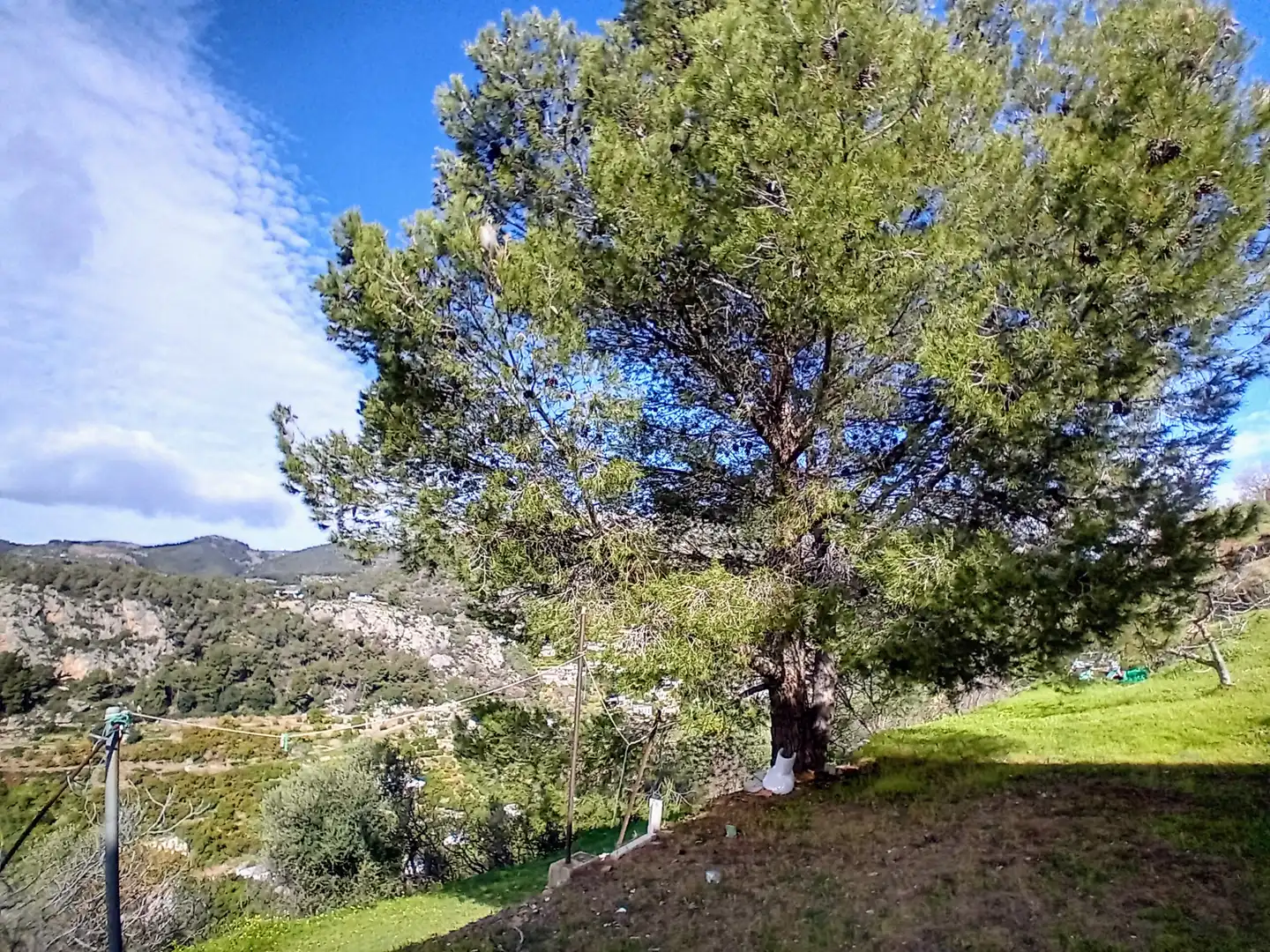 Casa rústica amb jardí en venda a Alozaina, imagen 23