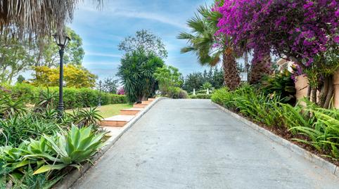 Photo 4 of House or chalet for sale in Cortijo de Maza - Finca Monsalvez - El Olivar, Málaga Capital