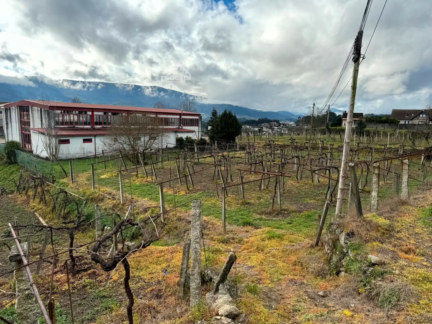 Rural land for sale in Arbo, imagen 11