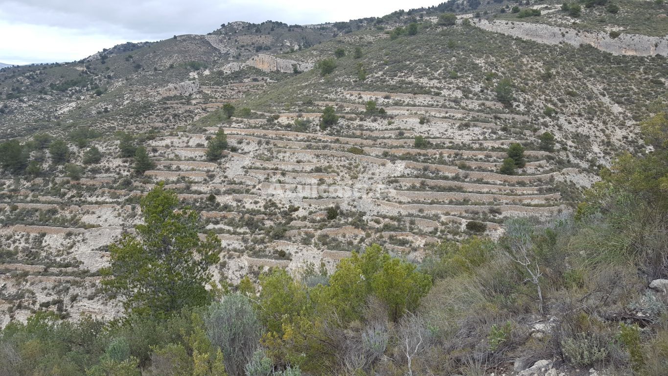 Grundstücke zum verkauf in Jijona / Xixona