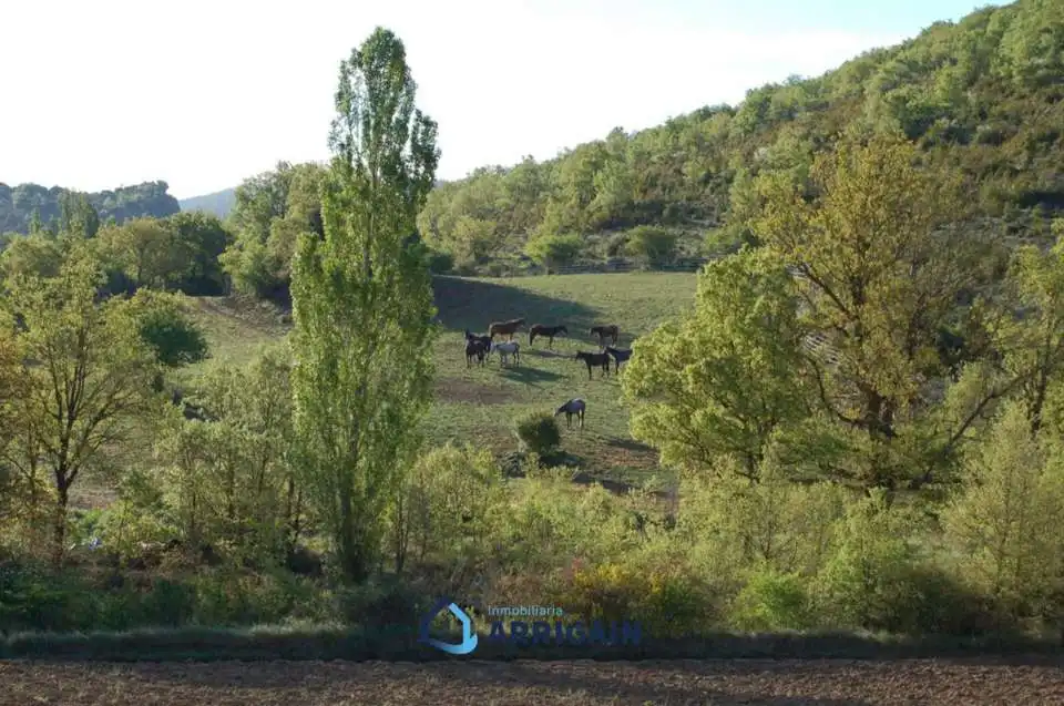 Vista exterior de Casa o chalet en venta en La Moraleja con Jardín privado