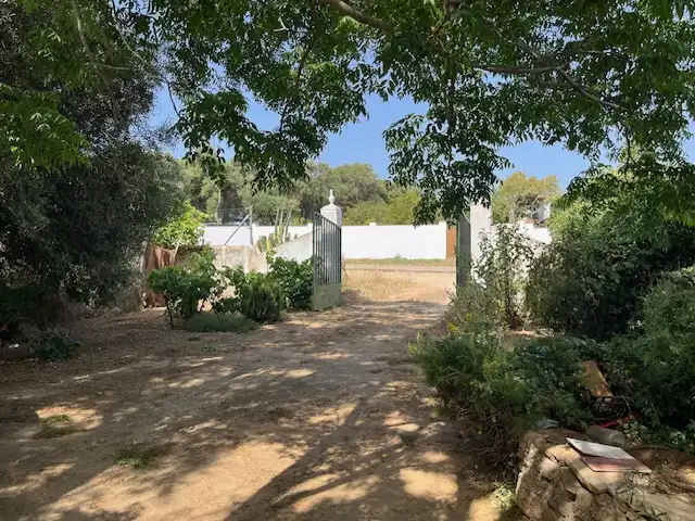 Terreni e lotti in vendita a Vejer, imagen 4