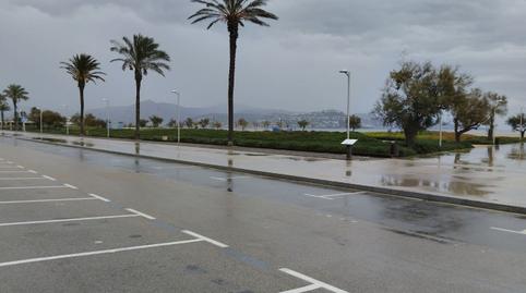 Photo 5 of Premises to transfer in Castelló d'Empúries, Girona