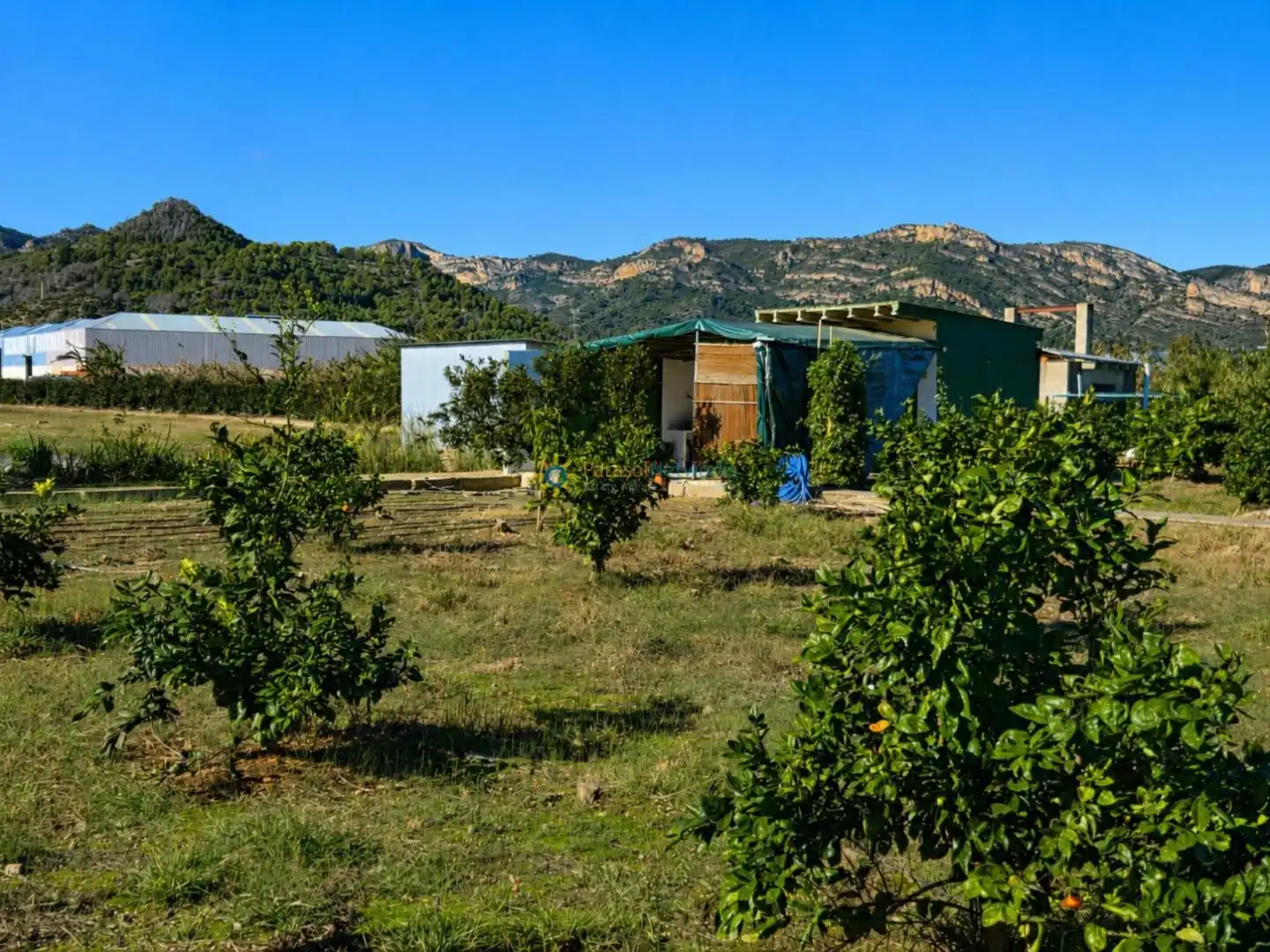 Jardín de Finca rústica en venta en Xeraco con Jardín privado, Terraza y Trastero