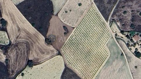 TERRENO RÚSTICO EN VALLE ALAMILLOS DE MÉNTRIDA, immagine 2