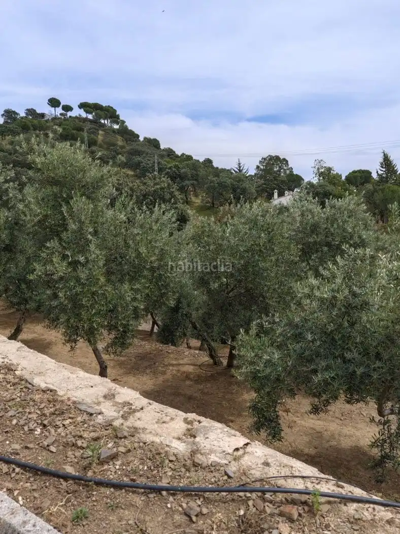 Xalet amb jardí en venda a Calle Carrera de la Virgen 22, imagen 14