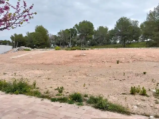 Terreny residencial en venda a Avenida de la Alberca, imagen 4