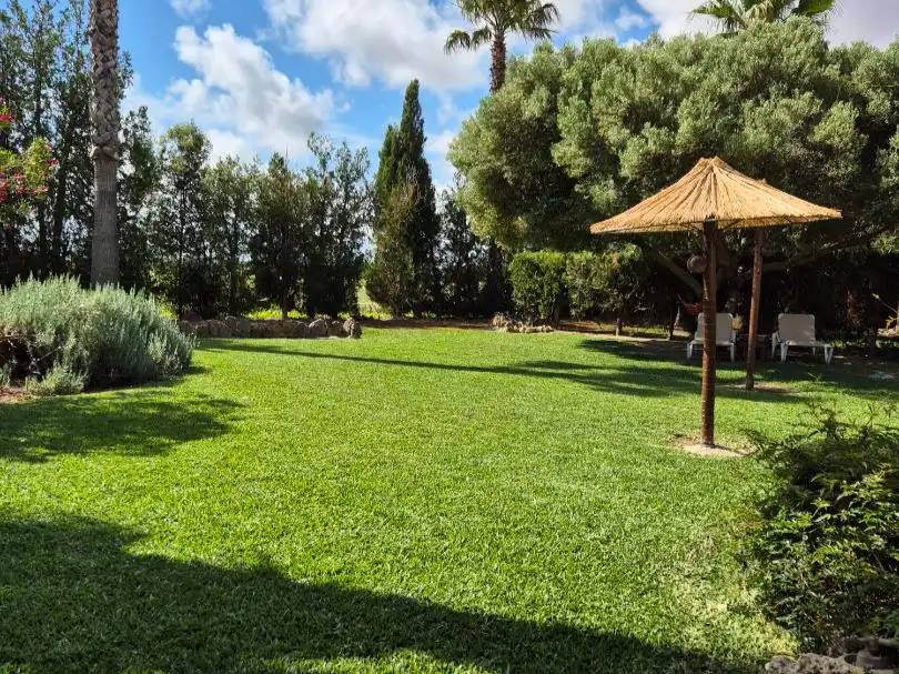 Jardí de Casa o xalet de lloguer en Sa Pobla amb Calefacció, Jardí privat i Terrassa