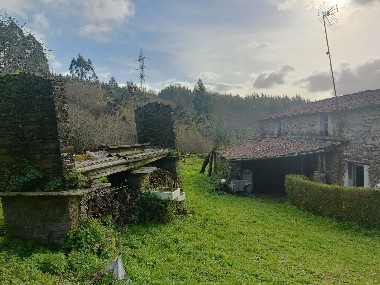 Casa o xalet en venda en Cesuras amb Jardí privat