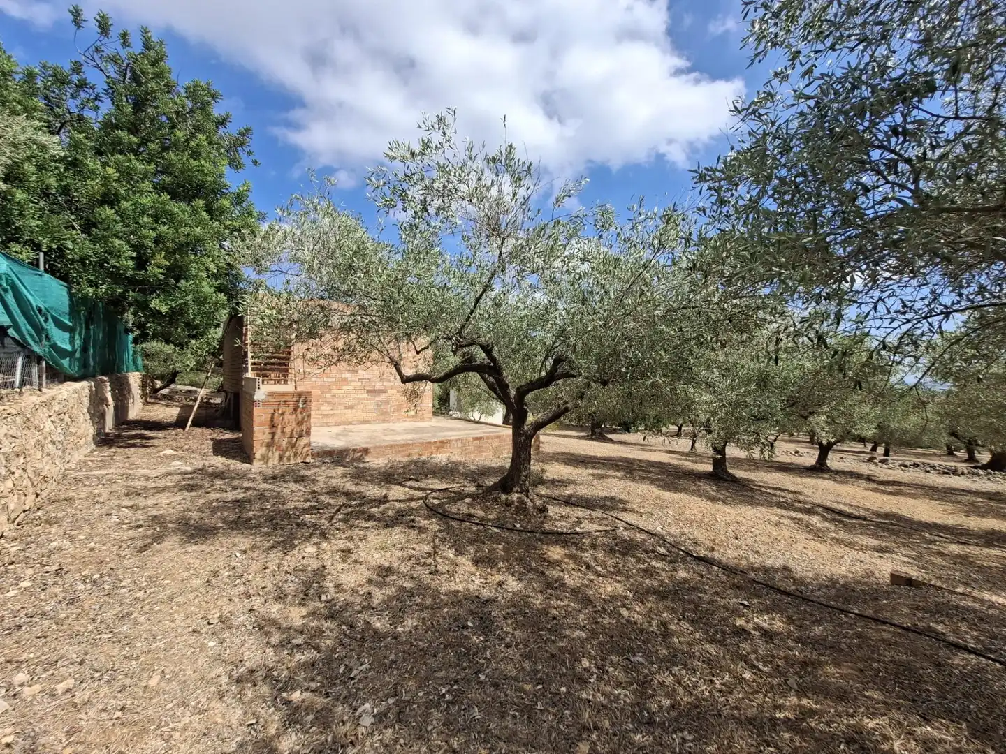 Terreno rustico in vendita a Partida del Mas d'en Civill, imagen 6