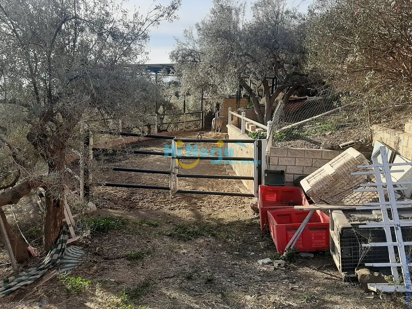 Terreni e lotti in vendita a Torrox Pueblo, imagen 19