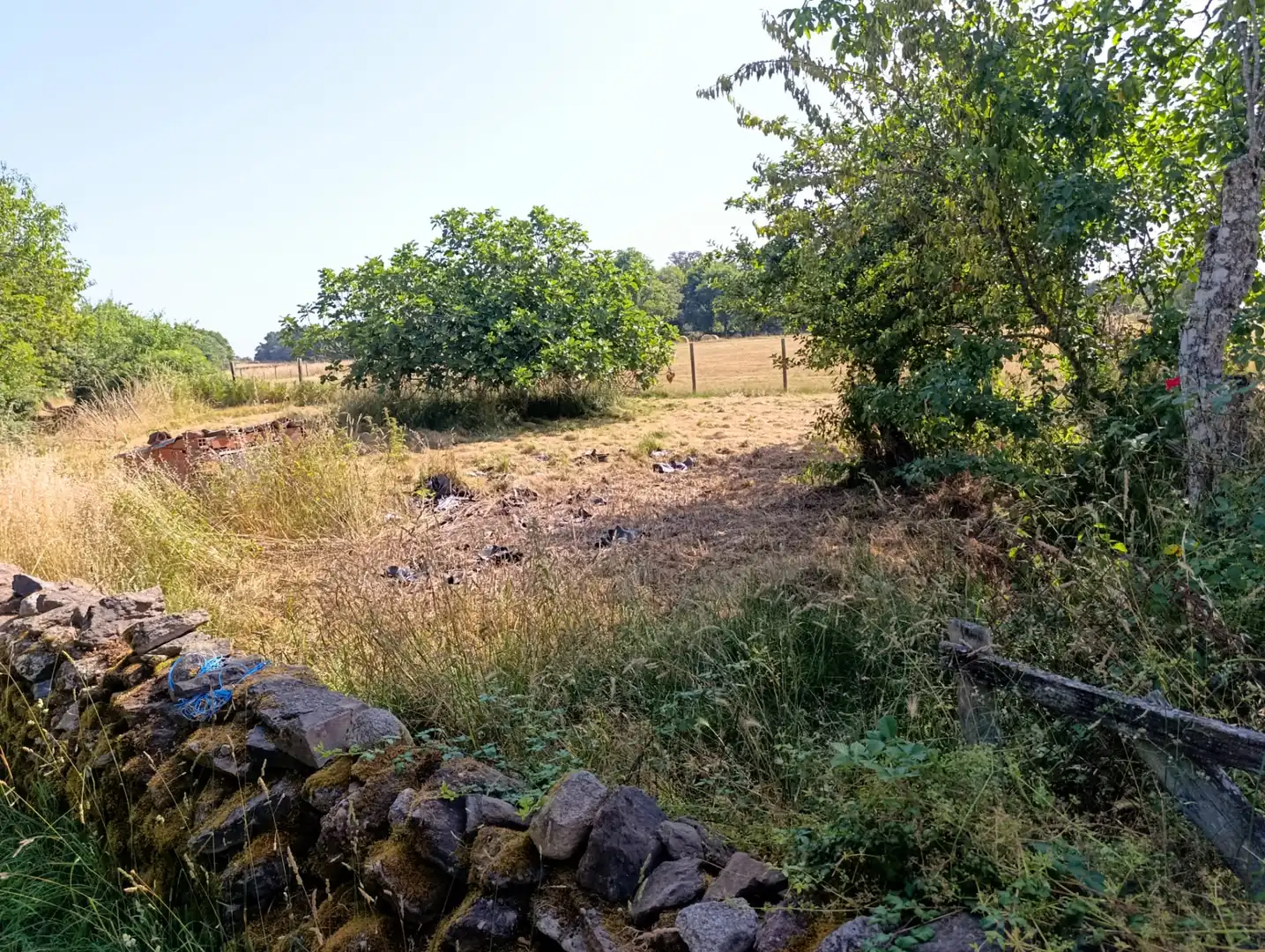 Casa rústica amb jardí en venda a O Saviñao, imagen 17