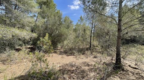 Bonito terreno rústico a 4km del pueblo y playas, imatge 2
